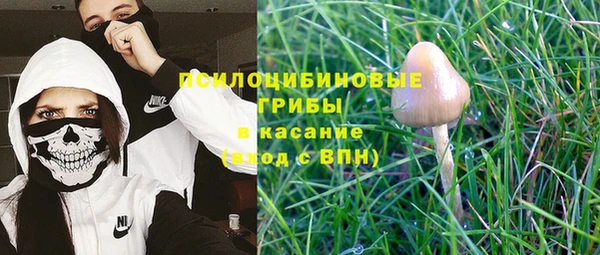 Альфа ПВП Пролетарск
