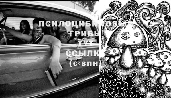 Альфа ПВП Пролетарск