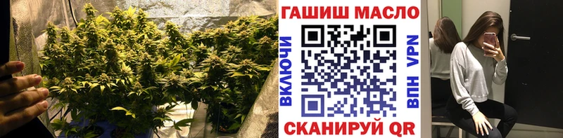 купить закладку мега зеркало ТГК гашишное масло Тюмень