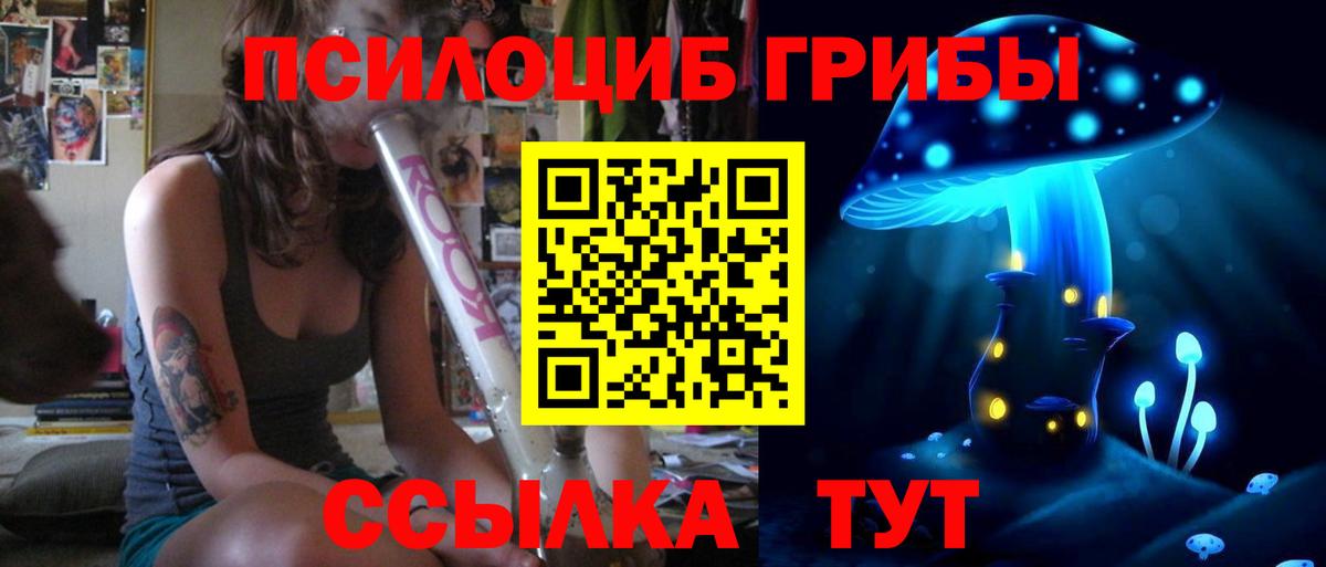купить  сайты  Вход с VPN  Тюмень  Псилоцибиновые грибы Psilocybine cubensis 